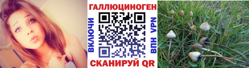 Псилоцибиновые грибы Magic Shrooms  Черноголовка 